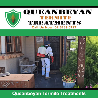 Termite treatment with pest control technician in Queanbeyan