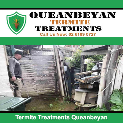 Technician providing termite treatment in Queanbeyan